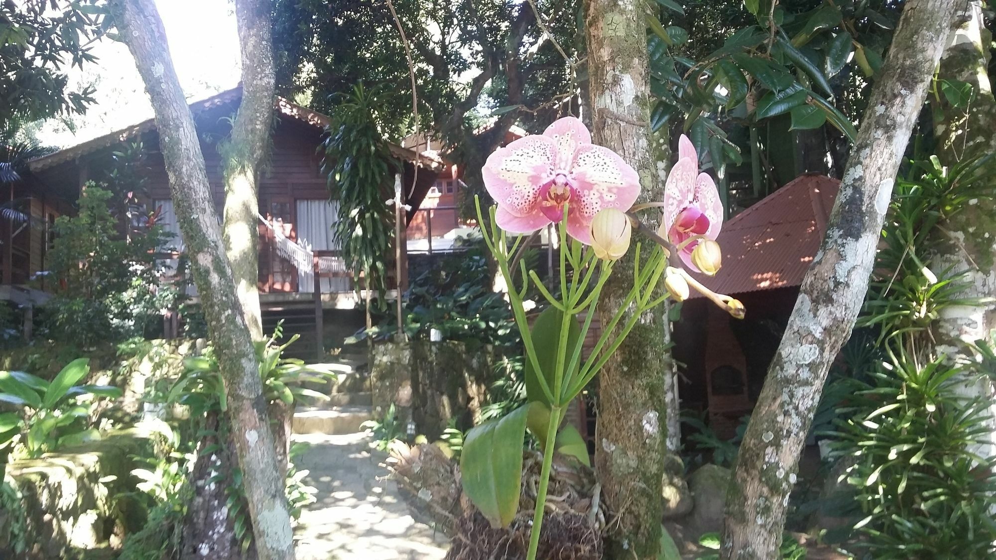 Pousada Mata Nativa Vila do Abraao Exterior photo