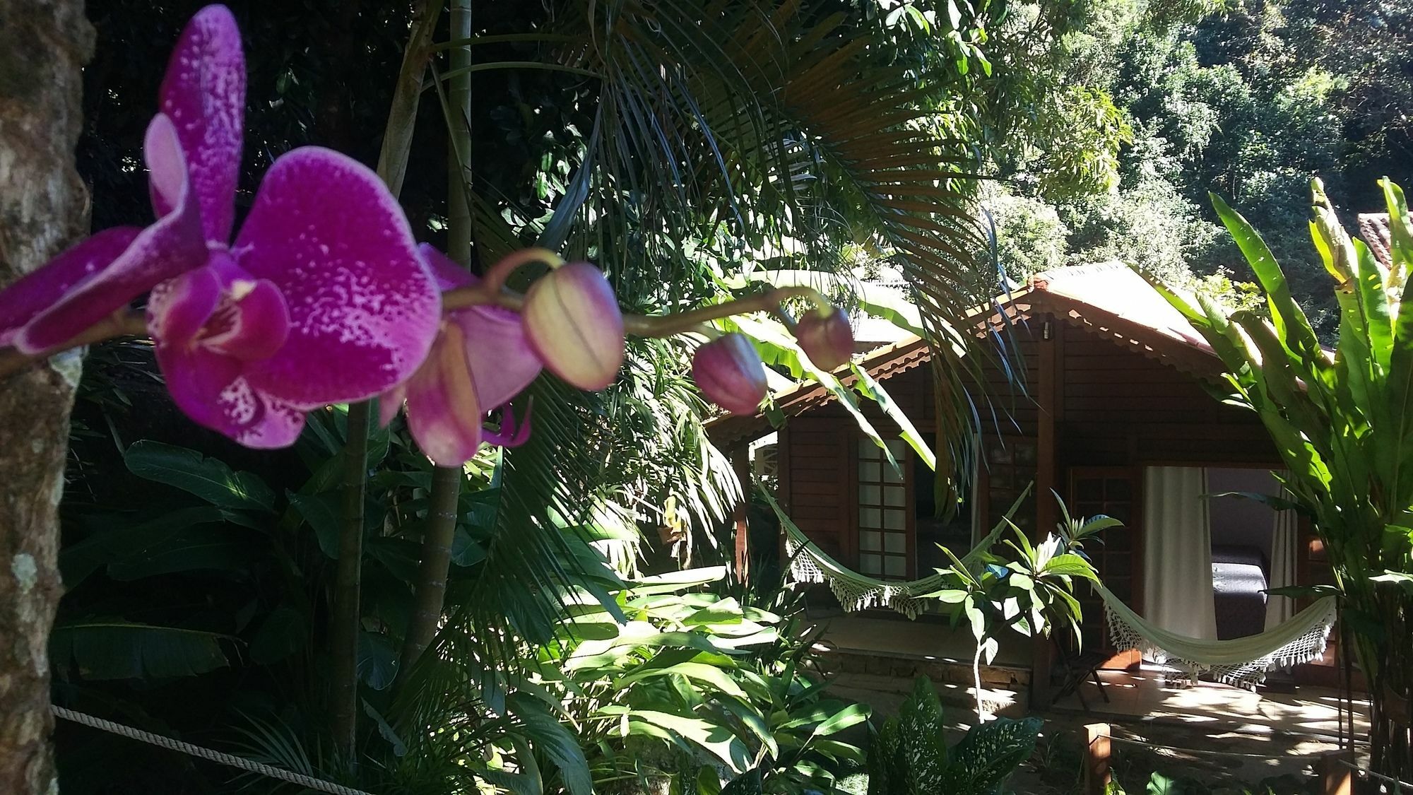 Pousada Mata Nativa Vila do Abraao Exterior photo